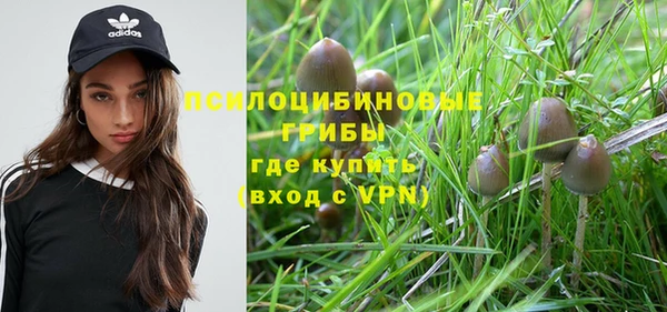прущая мука Аркадак