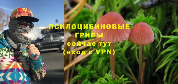 таблы Сатка